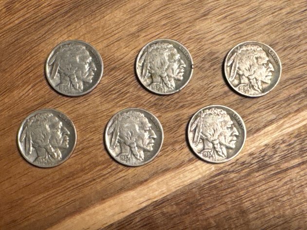 Image for Buffalo Nickels