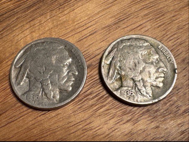 Image for Buffalo Nickels