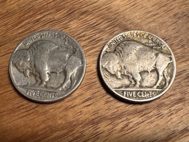 Image for Buffalo Nickels