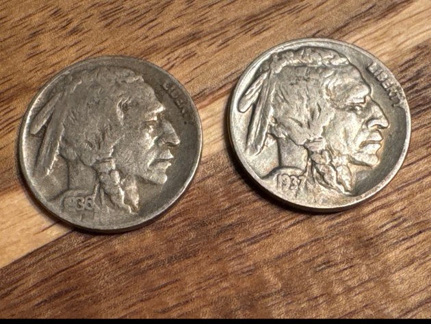 Image for Buffalo Nickels