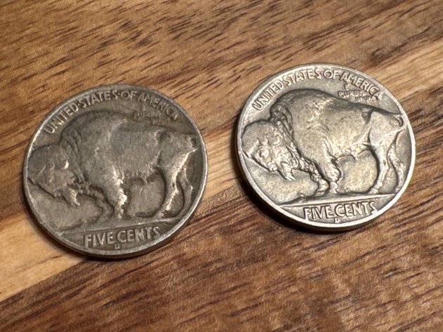 Image for Buffalo Nickels