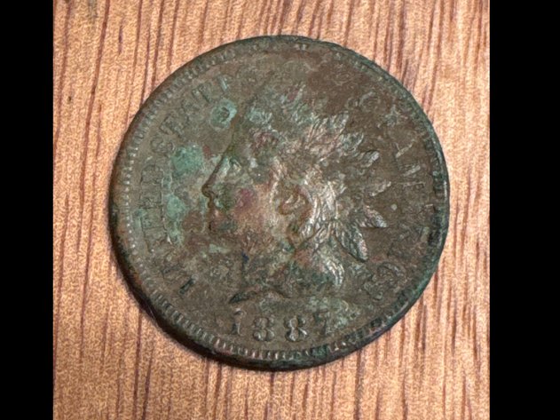 Image for Indian Head Pennies