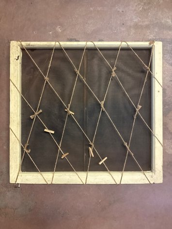 Image for Jewelry Display