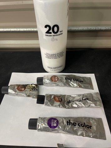 Image for Salon Hair Coloring