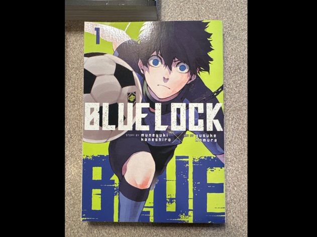 Image for Anime Books