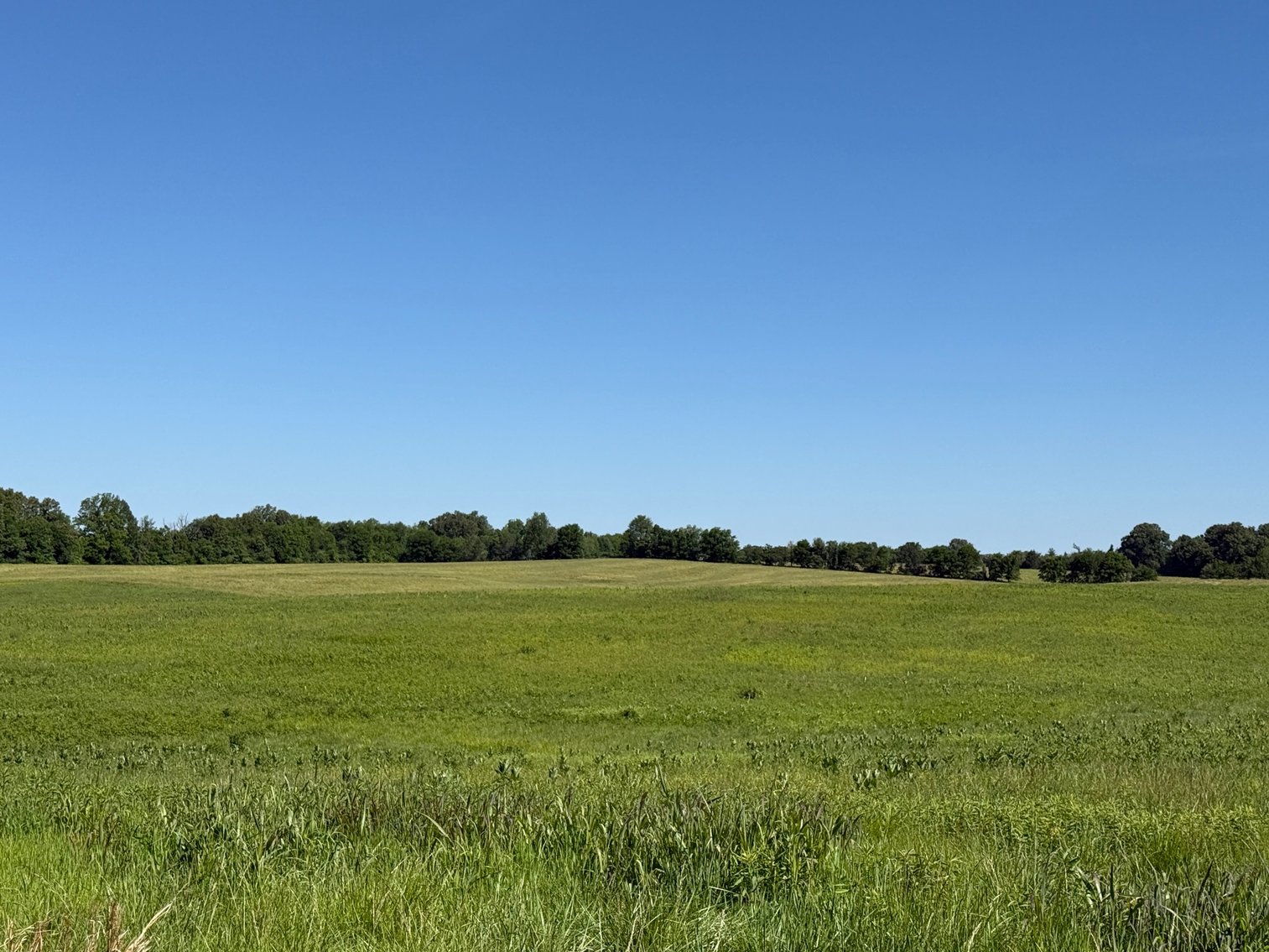 Image for Absolute Living Estate Auction • ±40 Acres