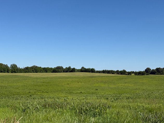 Image for Absolute Living Estate Auction • ±40 Acres