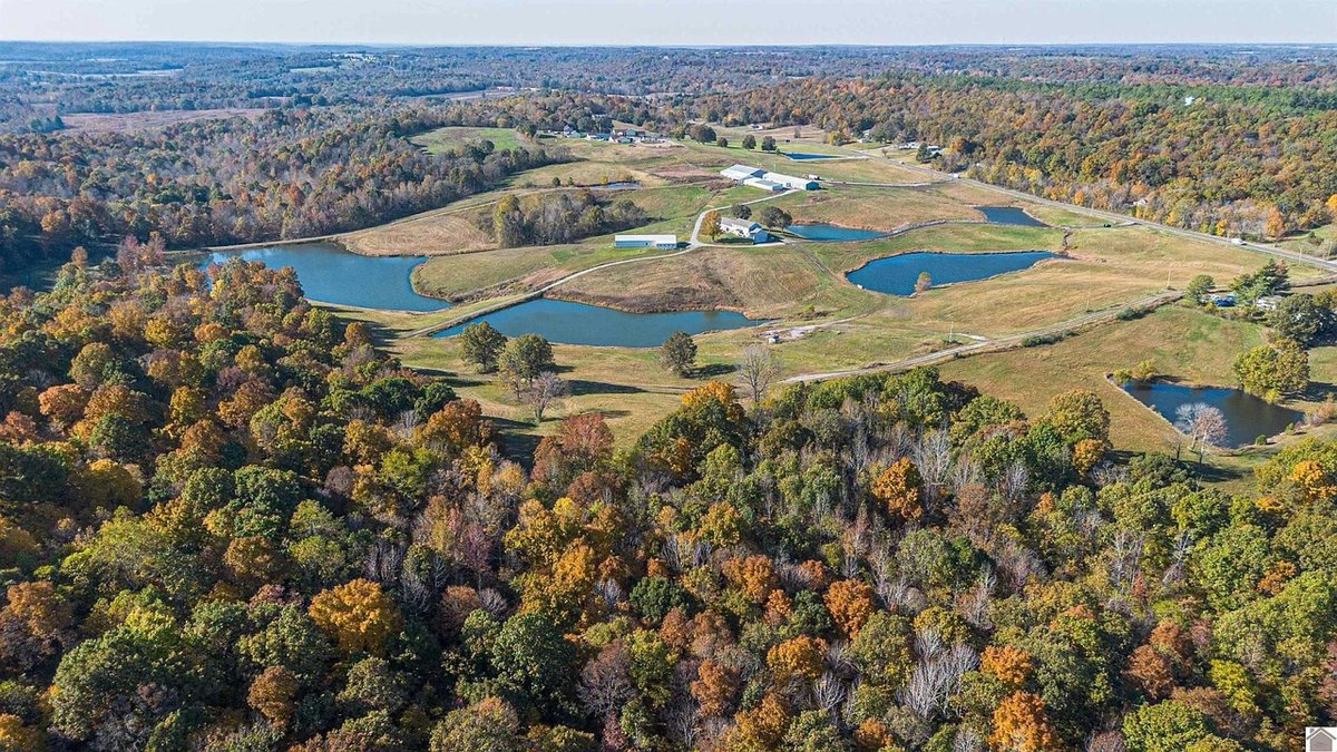 Image for Living Estate Auction • ±103 Acres