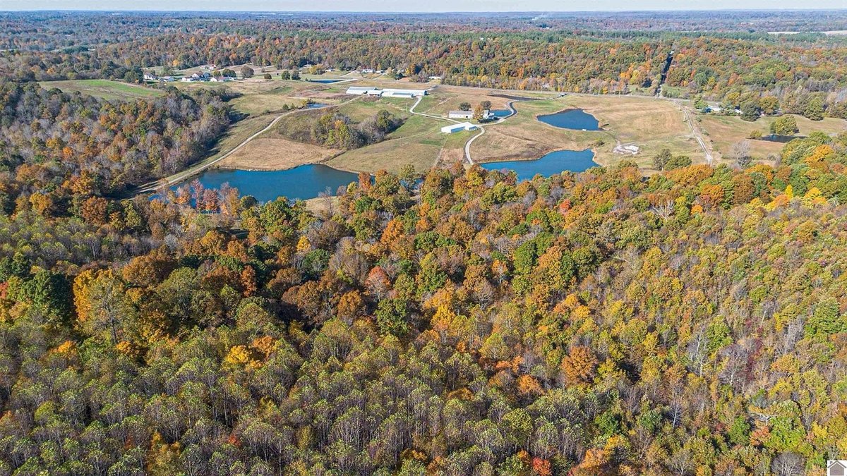 Image for Living Estate Auction • ±103 Acres