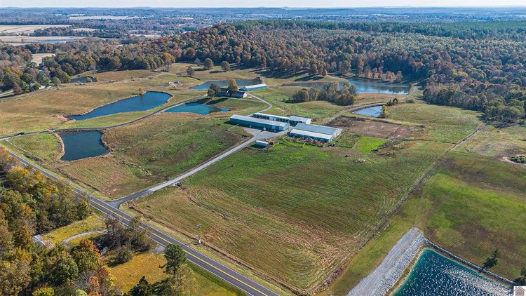 Image for Living Estate Auction • ±100 Acres