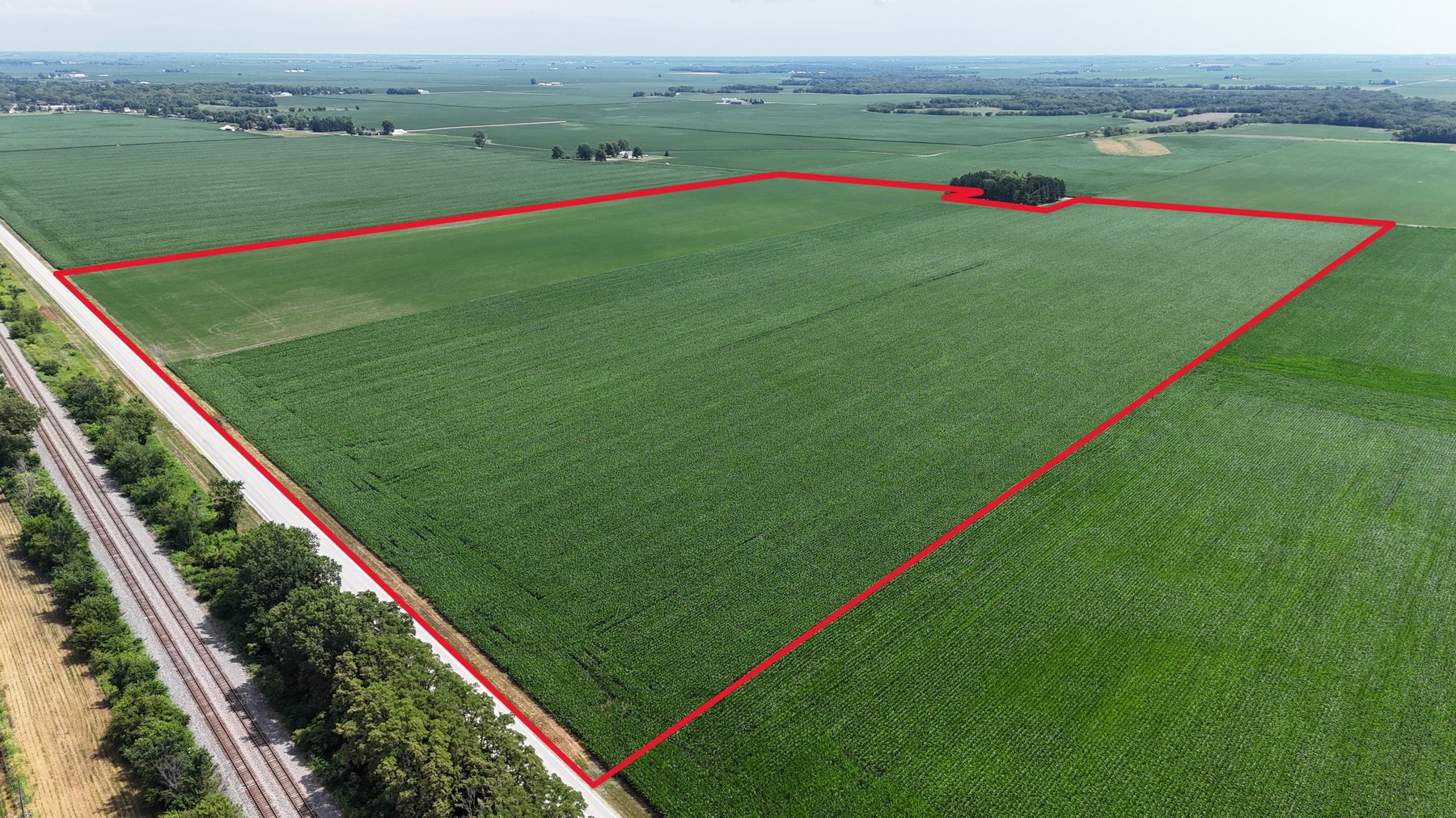 Image for 94.50± Acres Onarga Township, Iroquois County, IL