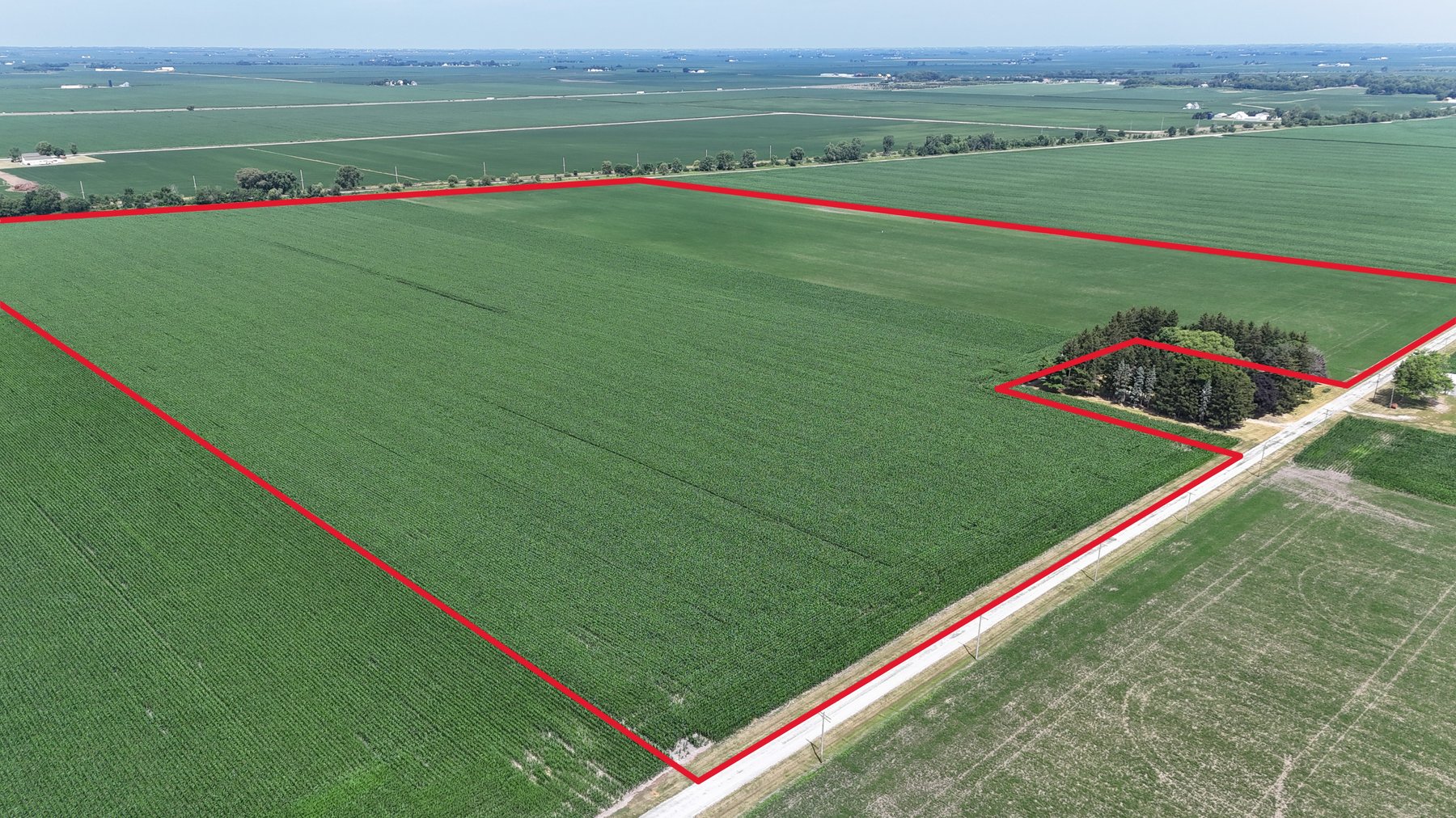 Image for 94.50± Acres Onarga Township, Iroquois County, IL