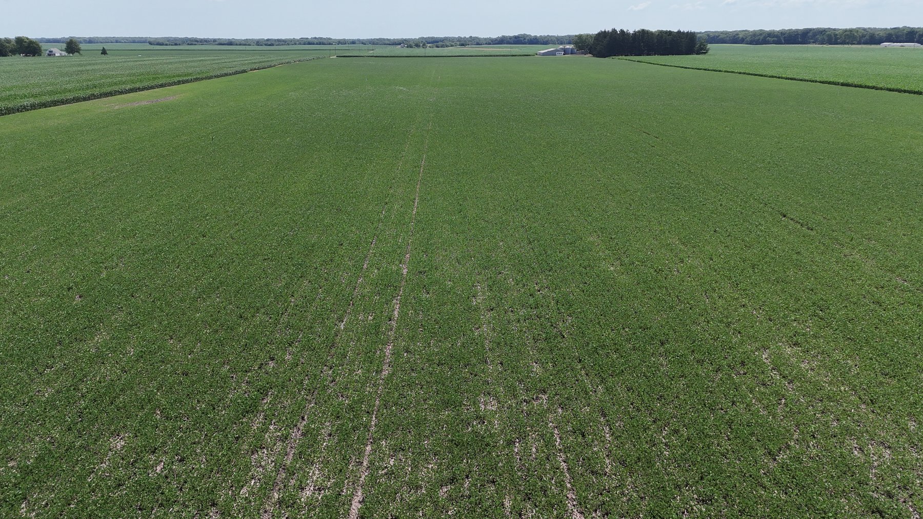 Image for 94.50± Acres Onarga Township, Iroquois County, IL