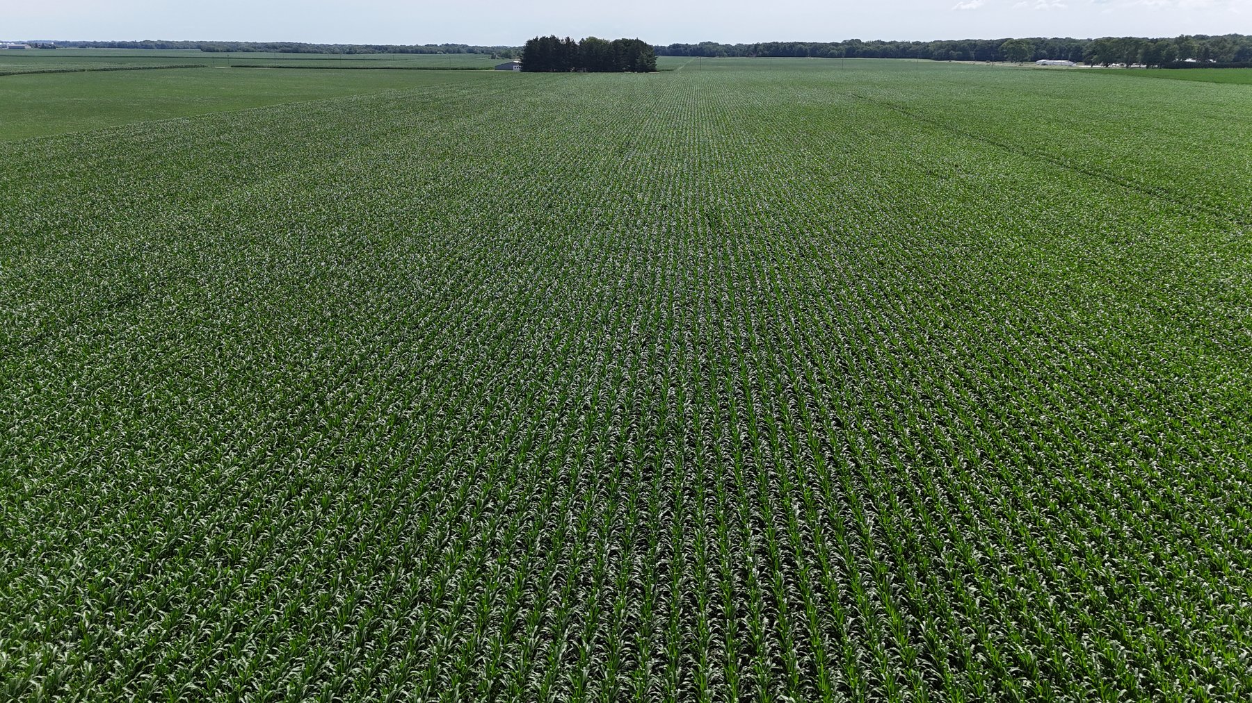 Image for 94.50± Acres Onarga Township, Iroquois County, IL