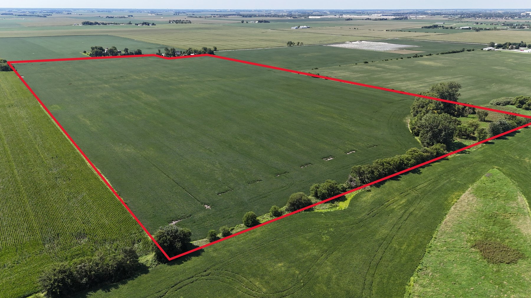 Image for 79.15± Acres Sumner Township, Kankakee County, IL