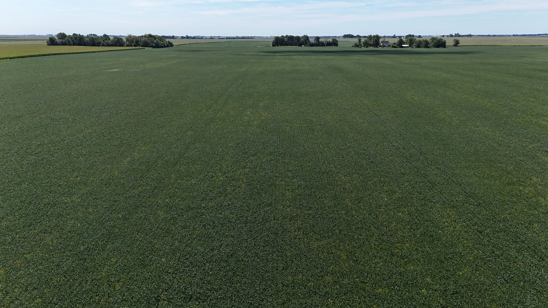 Image for 79.15± Acres Sumner Township, Kankakee County, IL