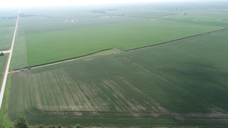 Image for Wyllie Farm Cash Rent Auction