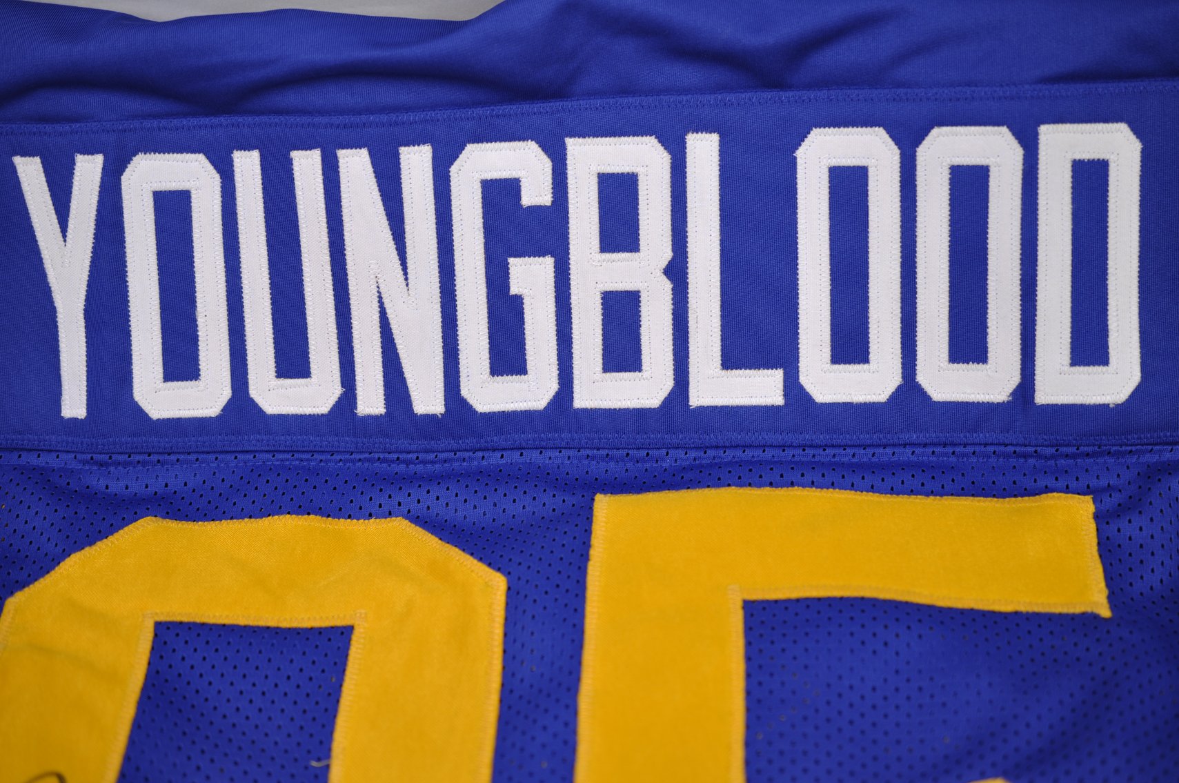 Youngblood & Hornung Signed Football Jerseys