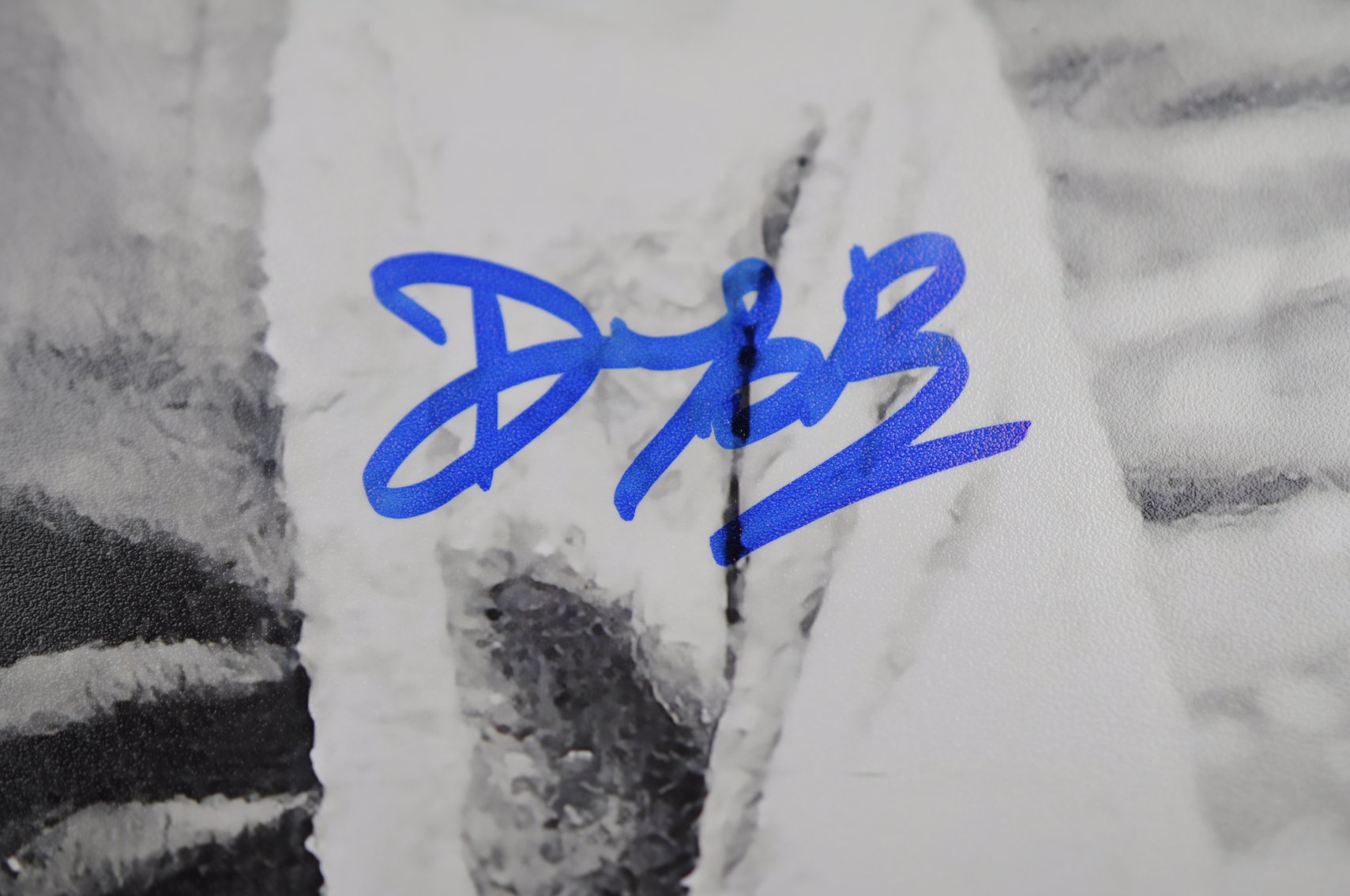 Photograph of Yoda Signed by Deep Roy