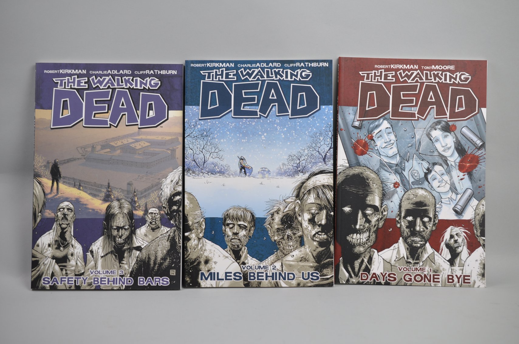 Walking Dead: Buildings, Cards, and Books