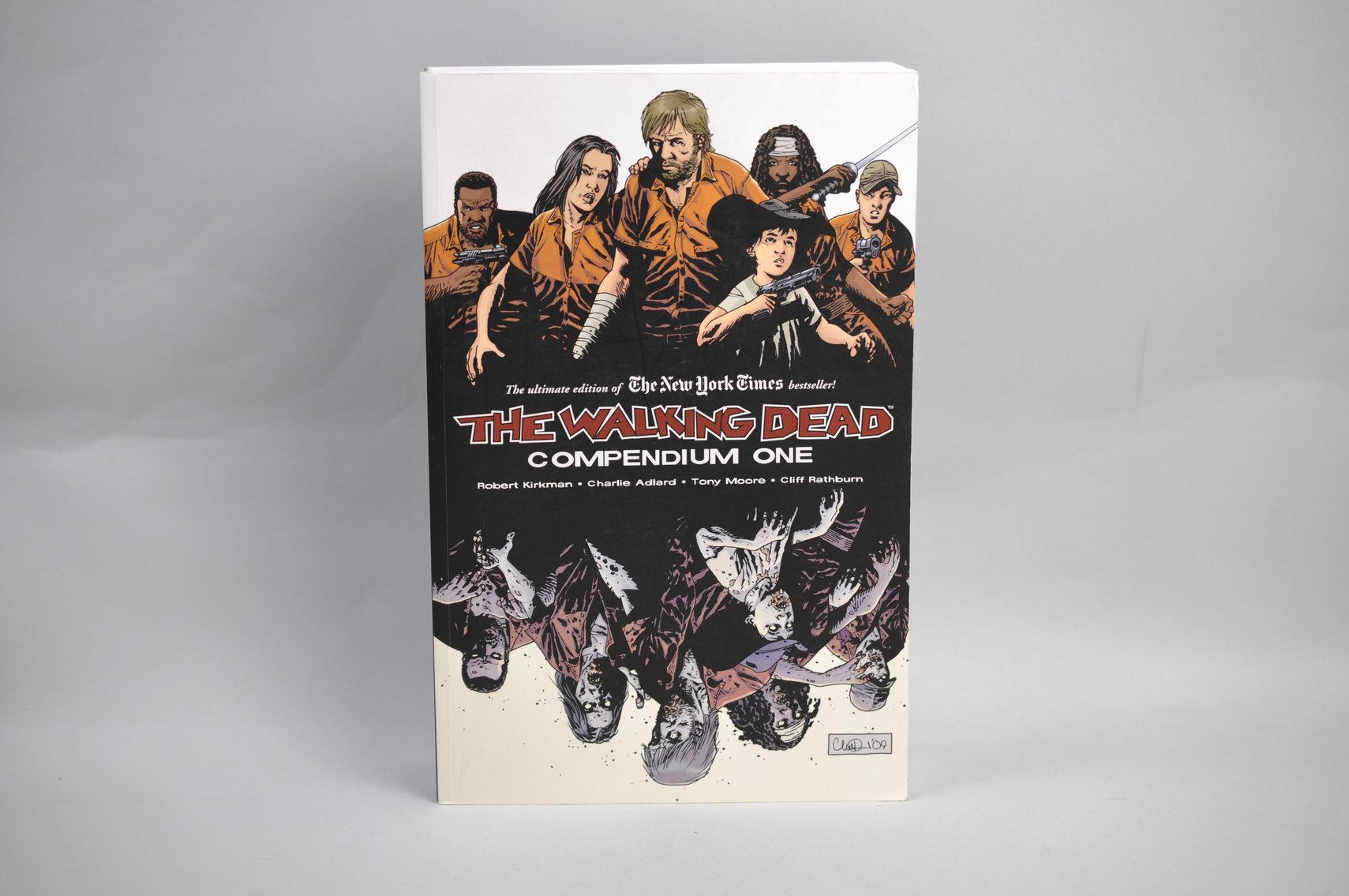 Walking Dead: Buildings, Cards, and Books