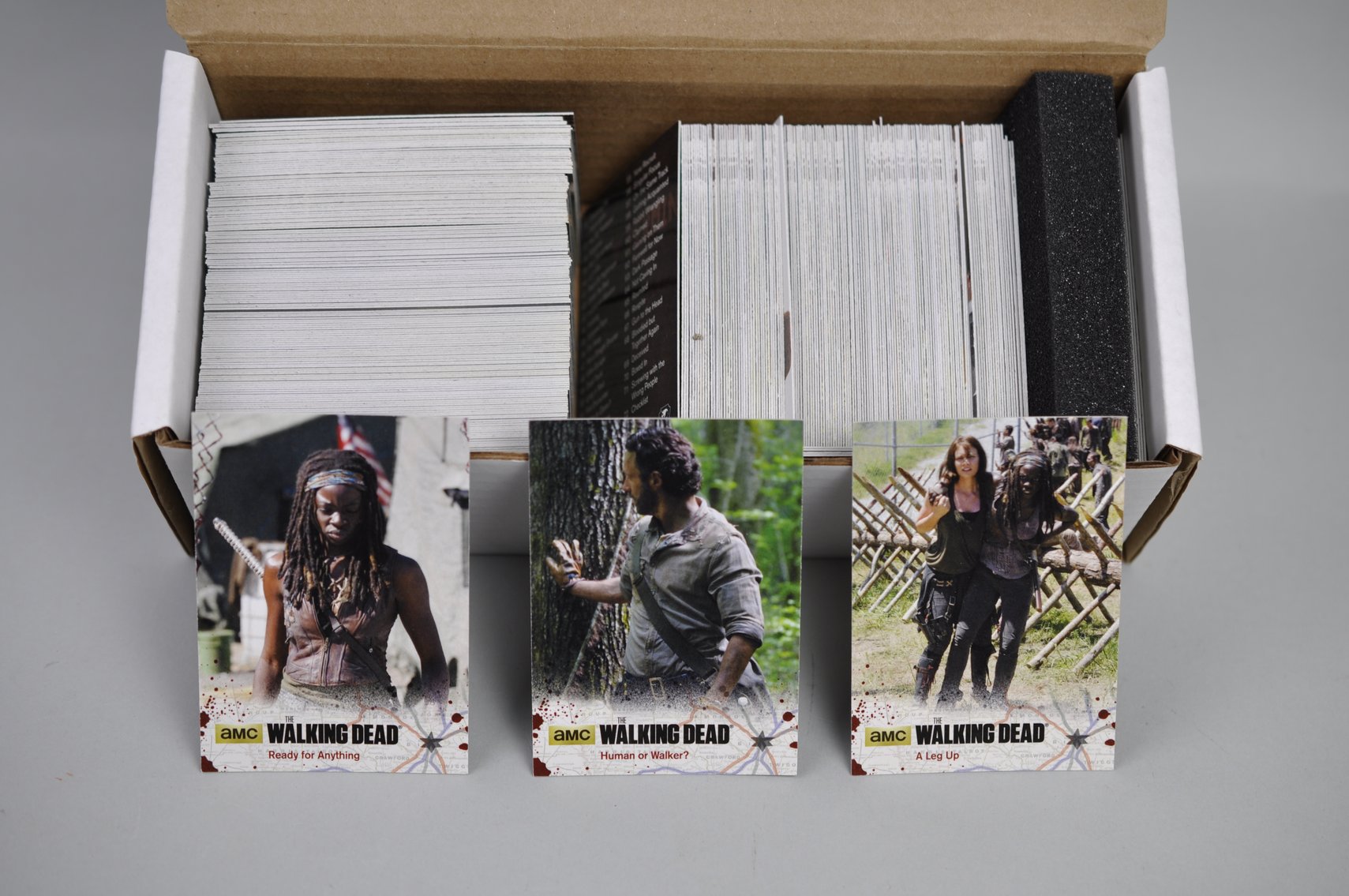 Walking Dead: Buildings, Cards, and Books