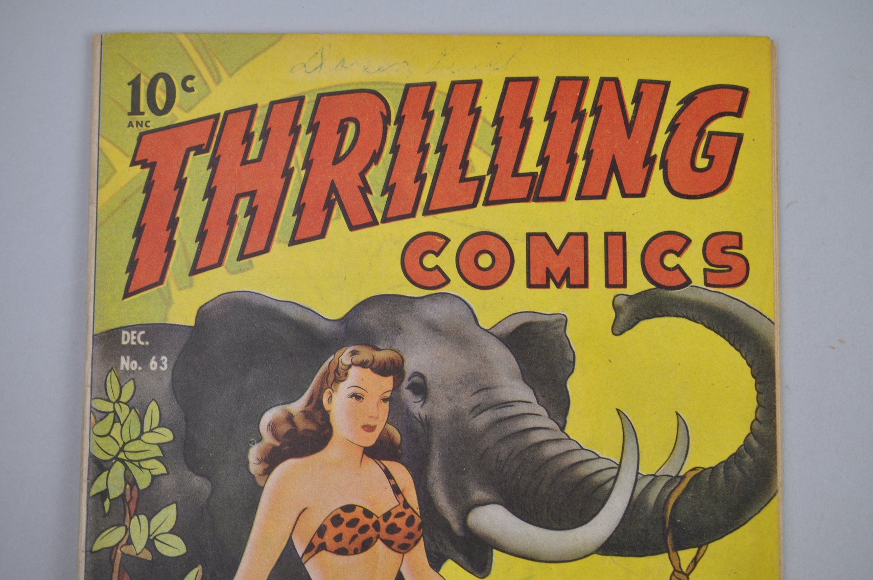 Thrilling Comics #63 Princess Pantha 1939