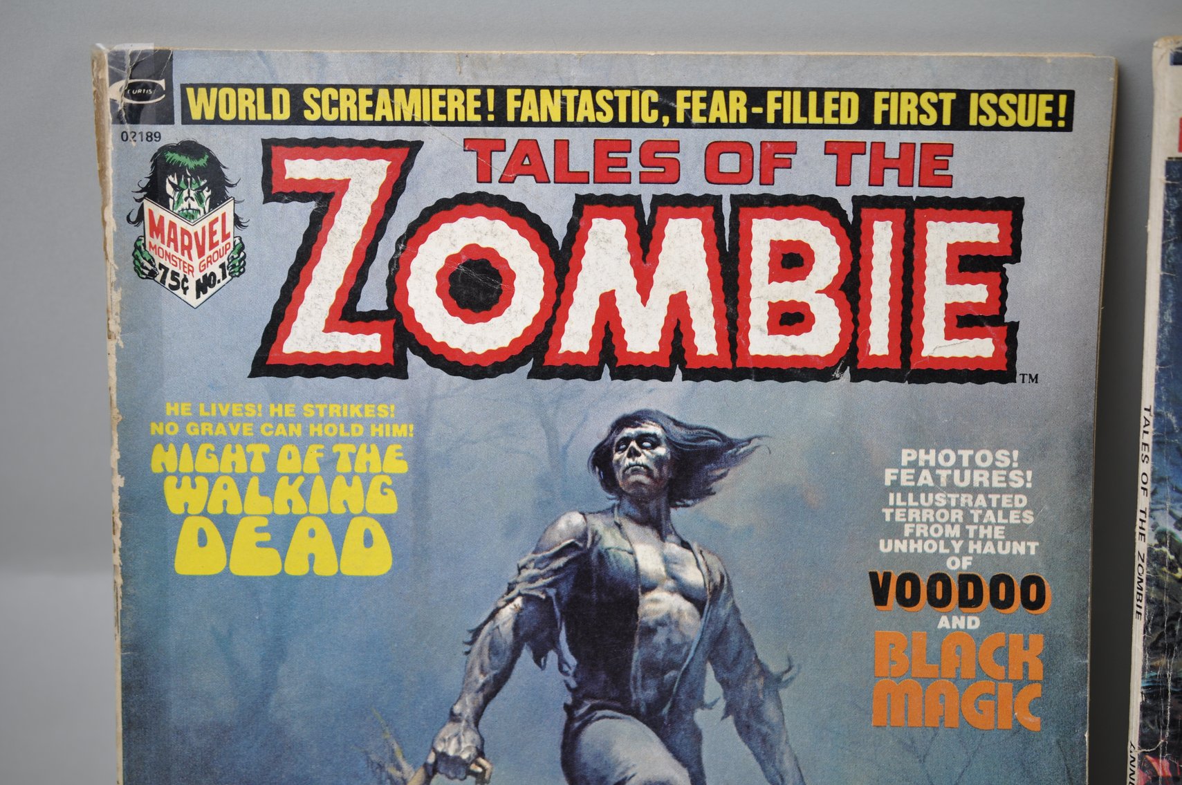 Tales of the Zombie by Curtis Comics