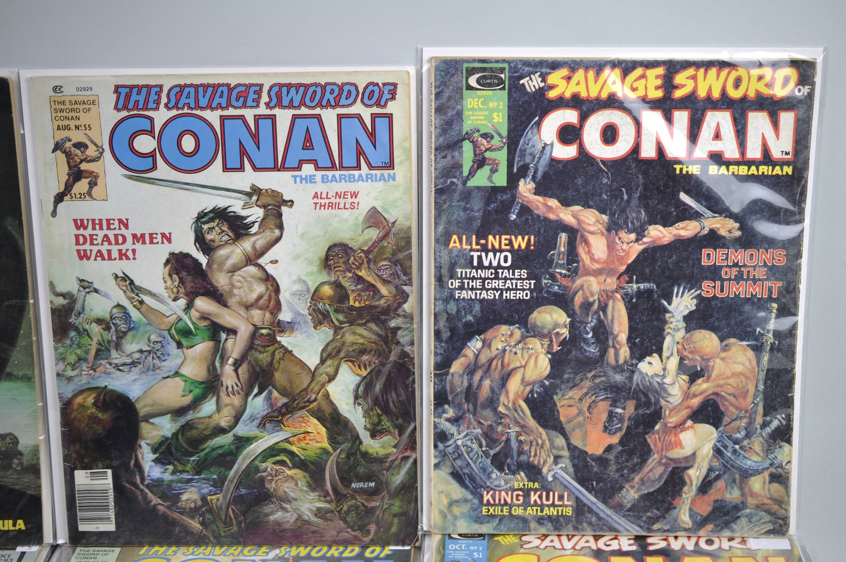 Assortment of the Savage Sword of Conan Comics