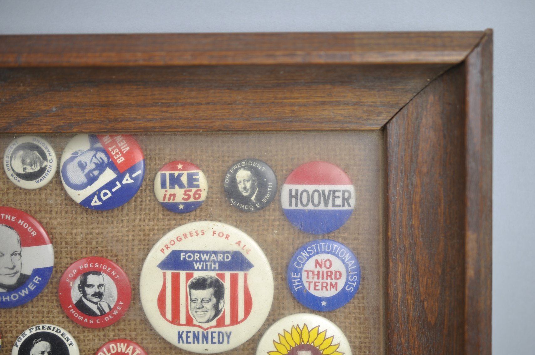 Political Campaign Button Display