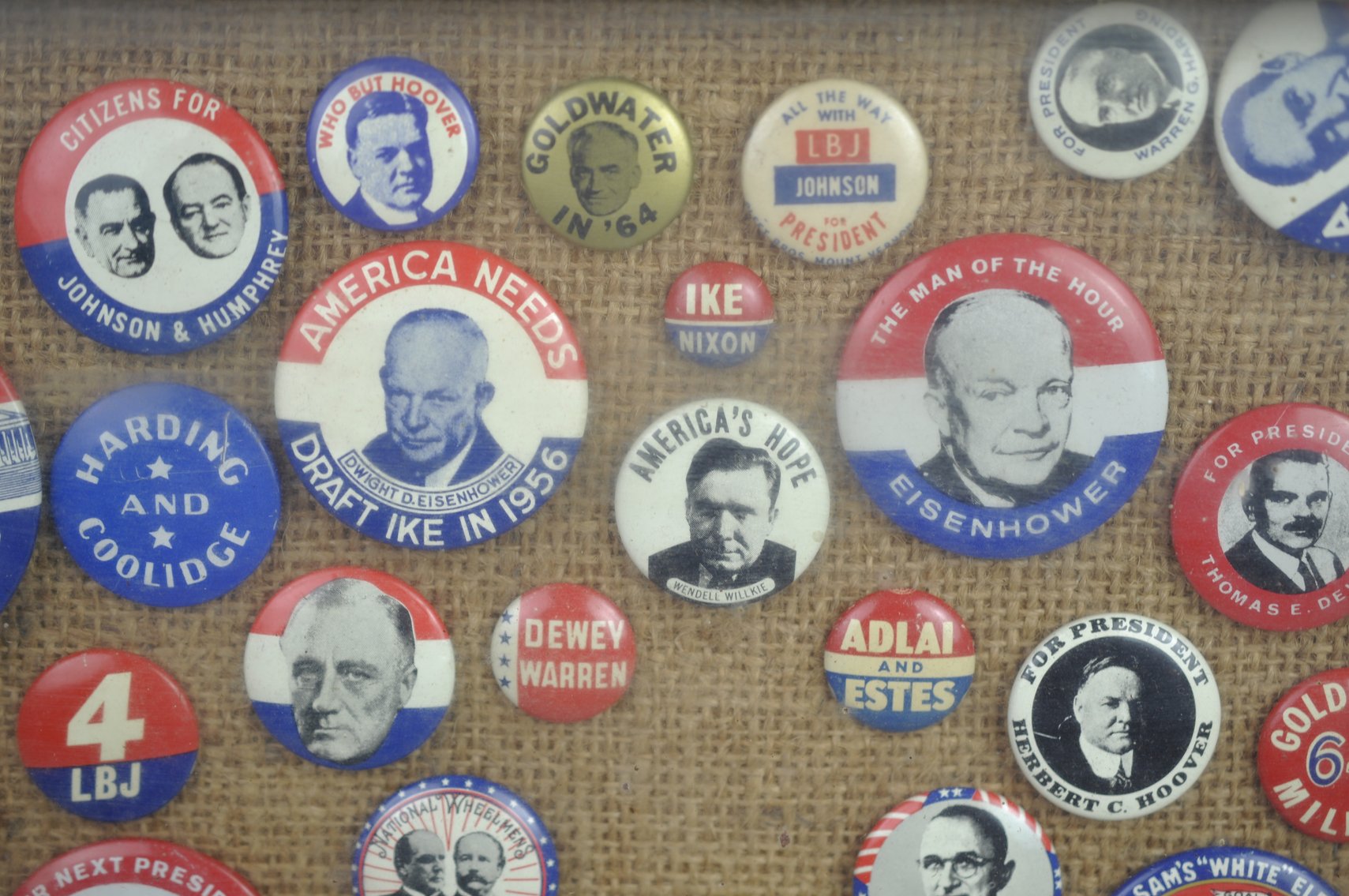 Political Campaign Button Display