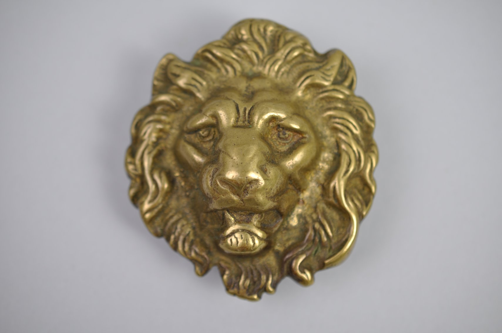 Lion Head Brass Belt Buckles