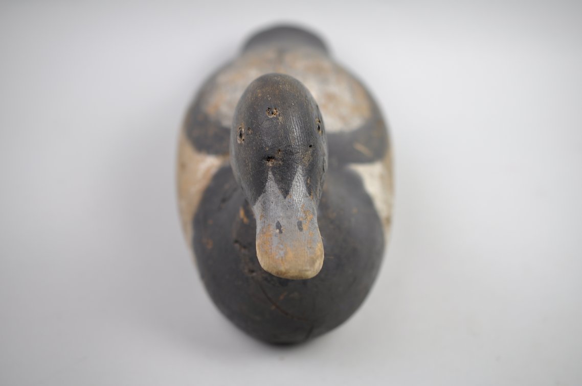 Bluebill Drake Duck Decoy w/ Glass Eye