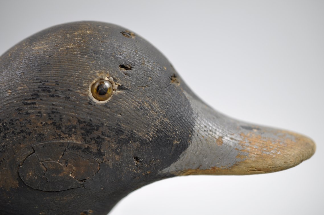 Bluebill Drake Duck Decoy w/ Glass Eye