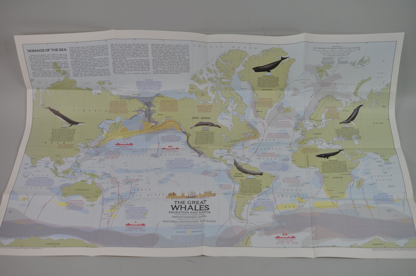 National Geographic Collection of 100 Maps
