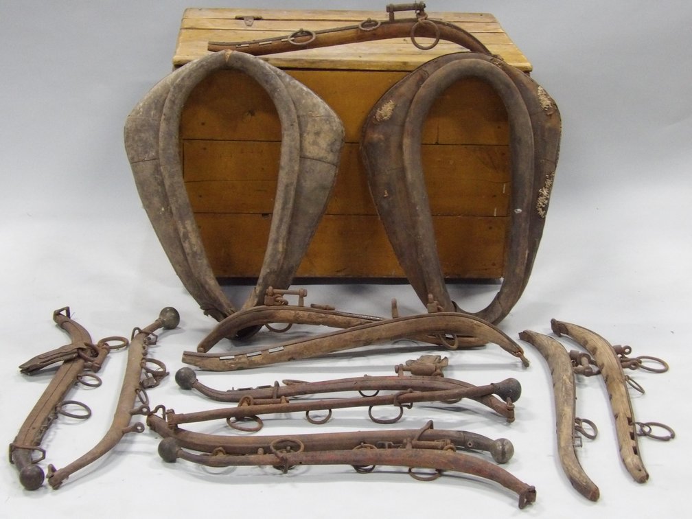Horse Collar Harnesses, Hames, and Handmade Trunk