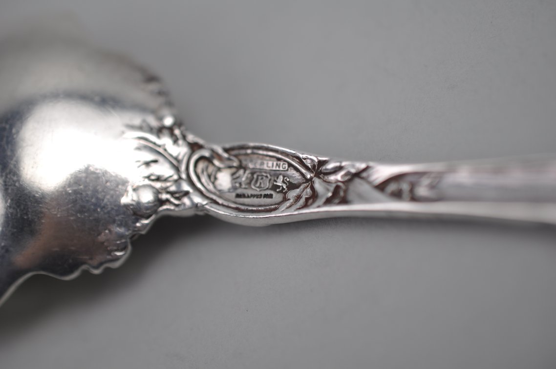 Reed & Barton Les Six Fleurs Sterling Serving Spoon