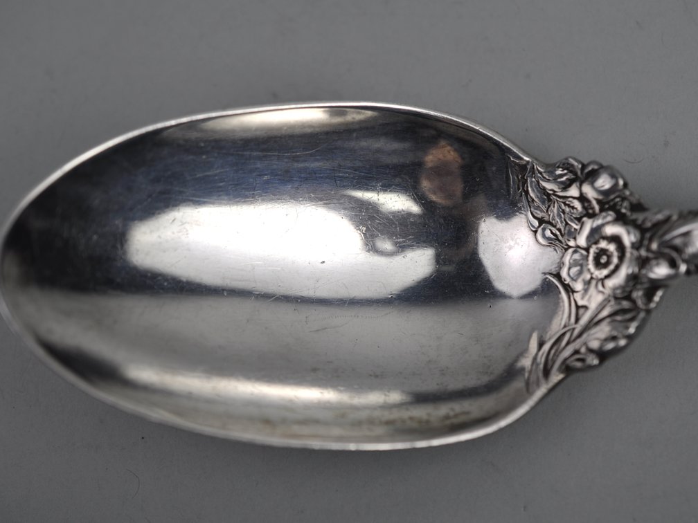 Reed & Barton Les Six Fleurs Sterling Serving Spoon