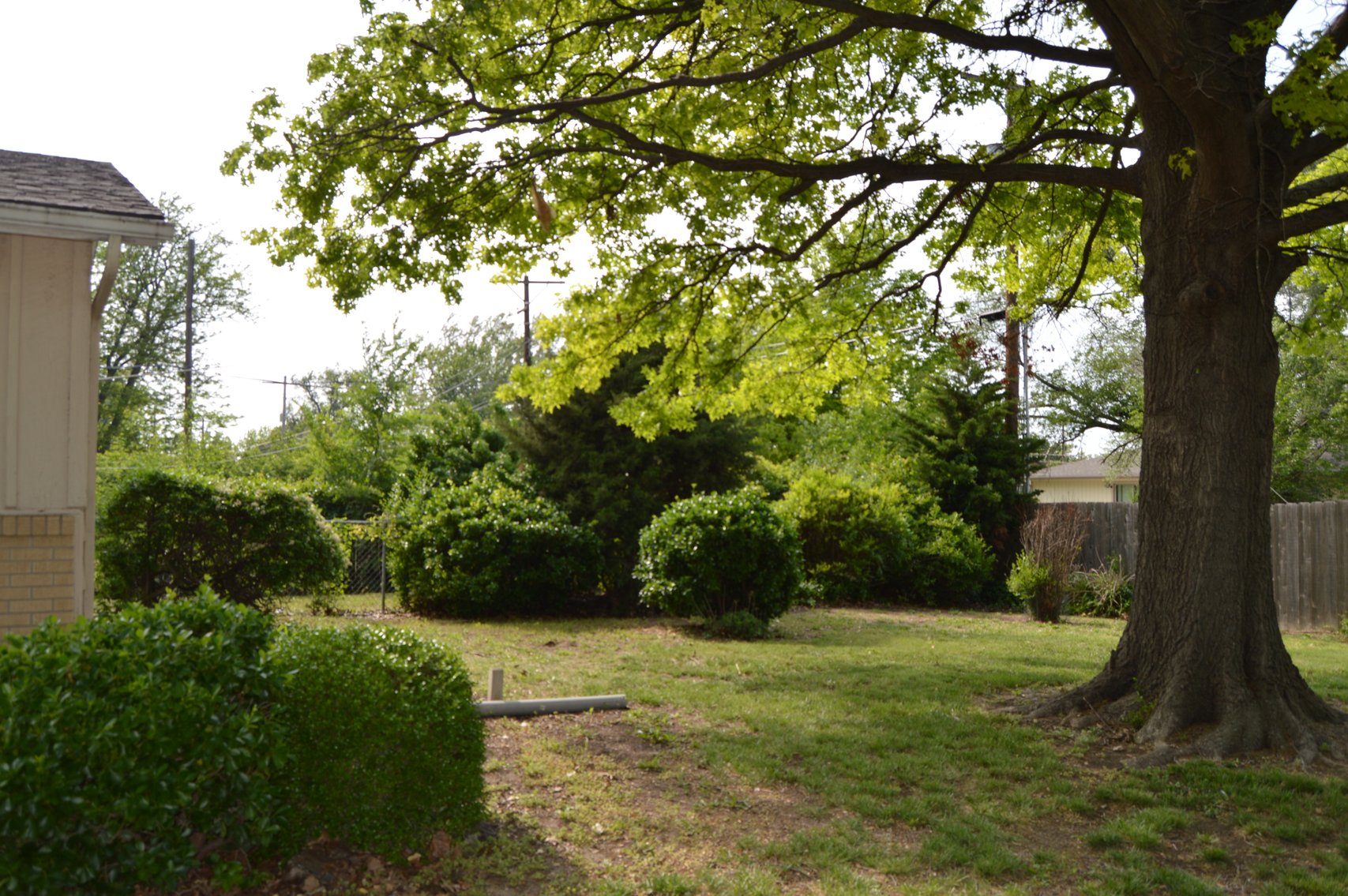 Image for 1105 S Paige Street