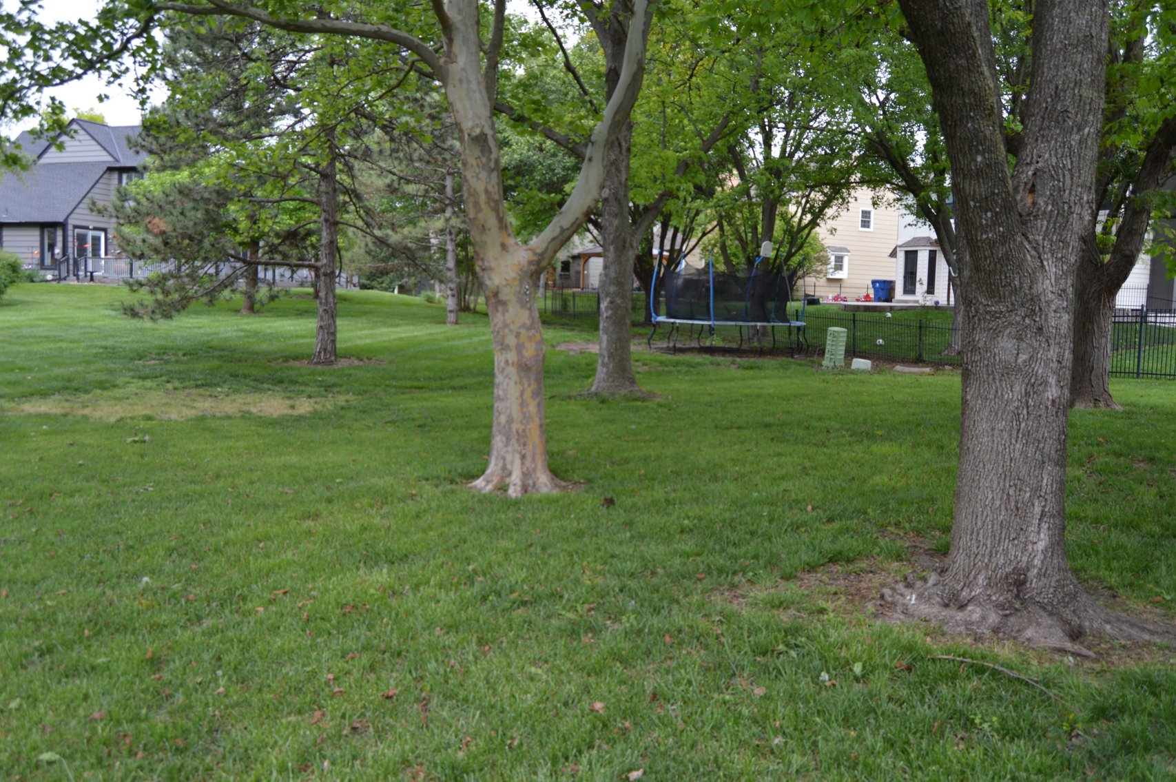 Image for Tallgrass Equity Builder