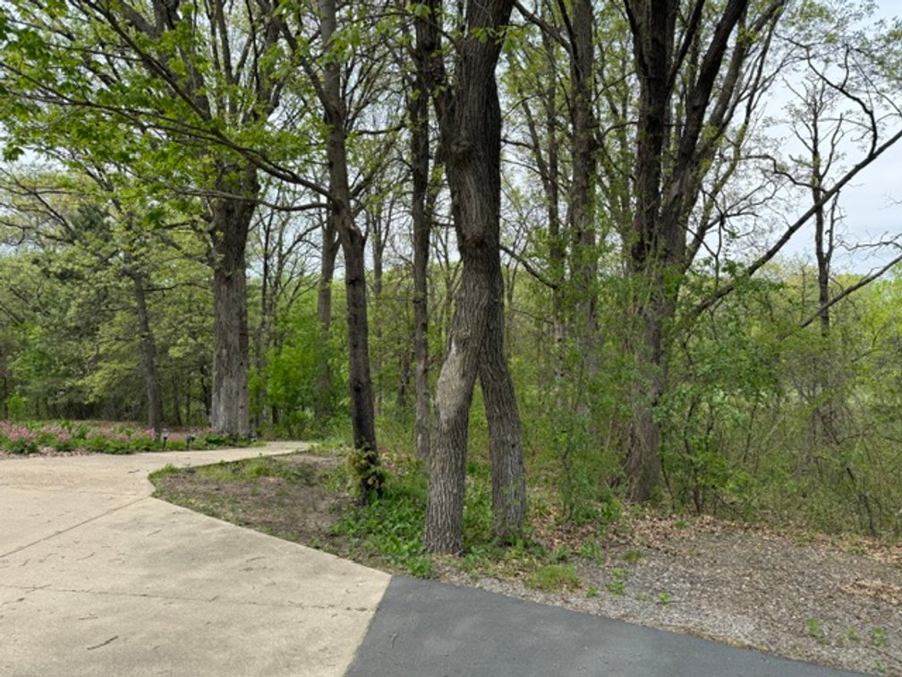 Image for John Severson Real Estate