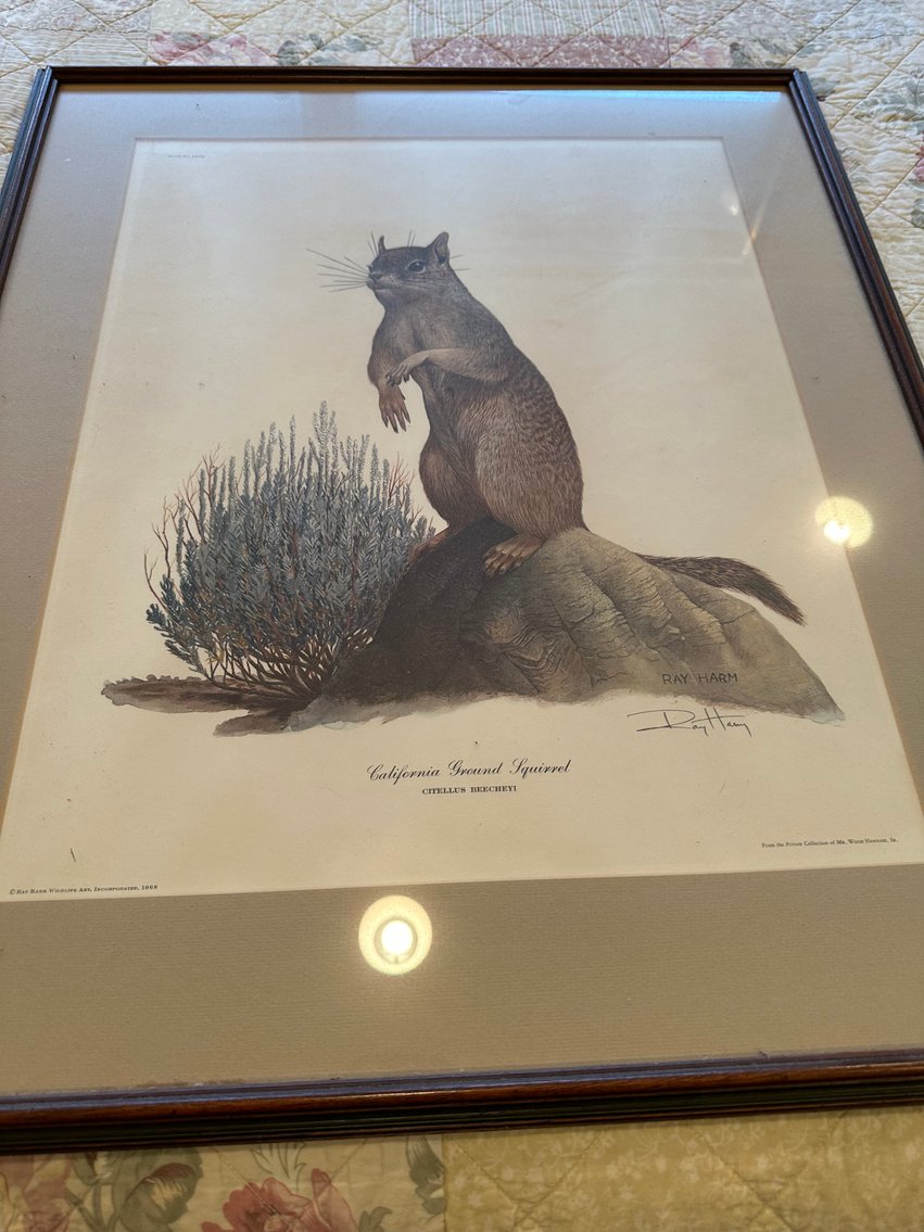 Image for Absolute Public Auction