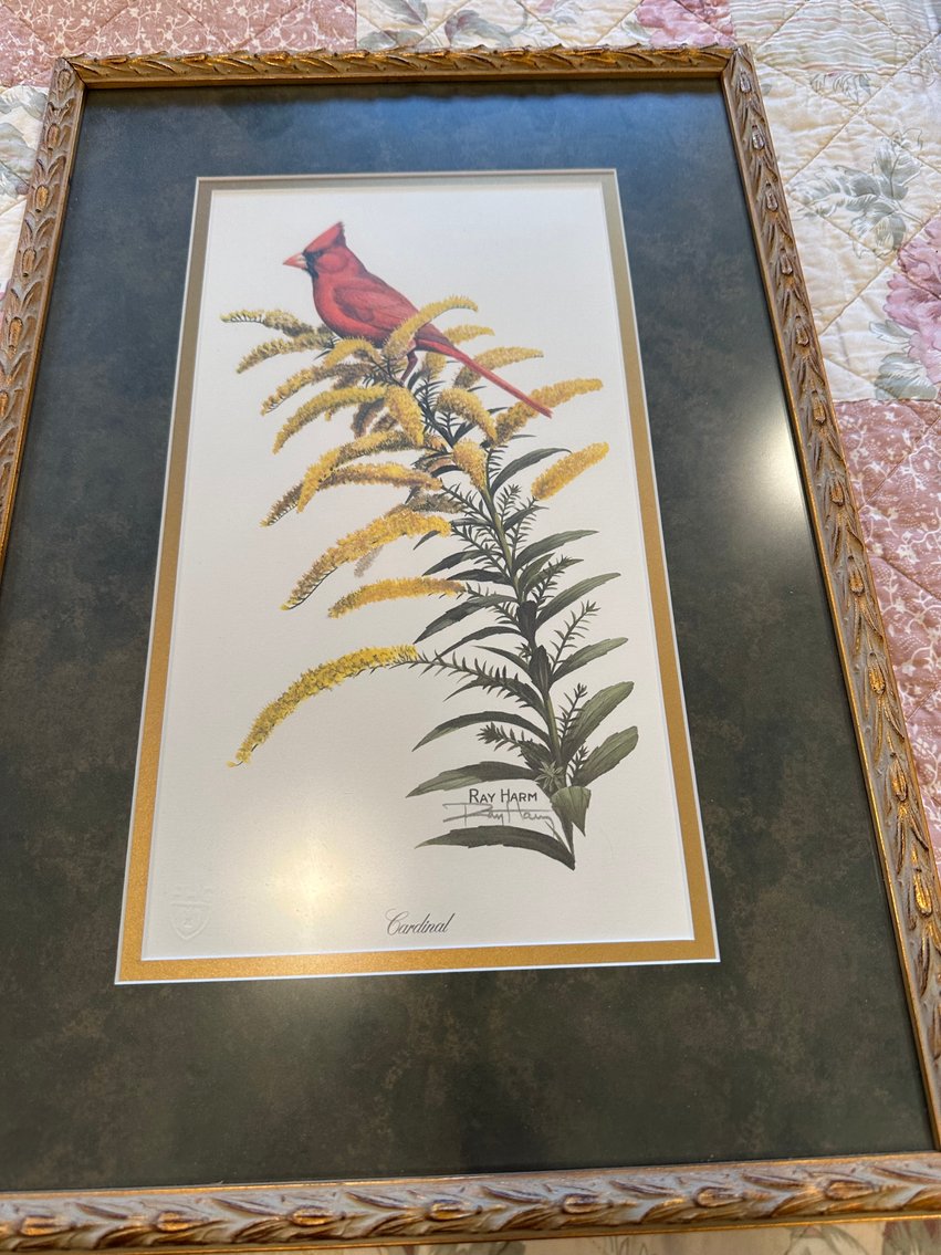 Image for Absolute Public Auction