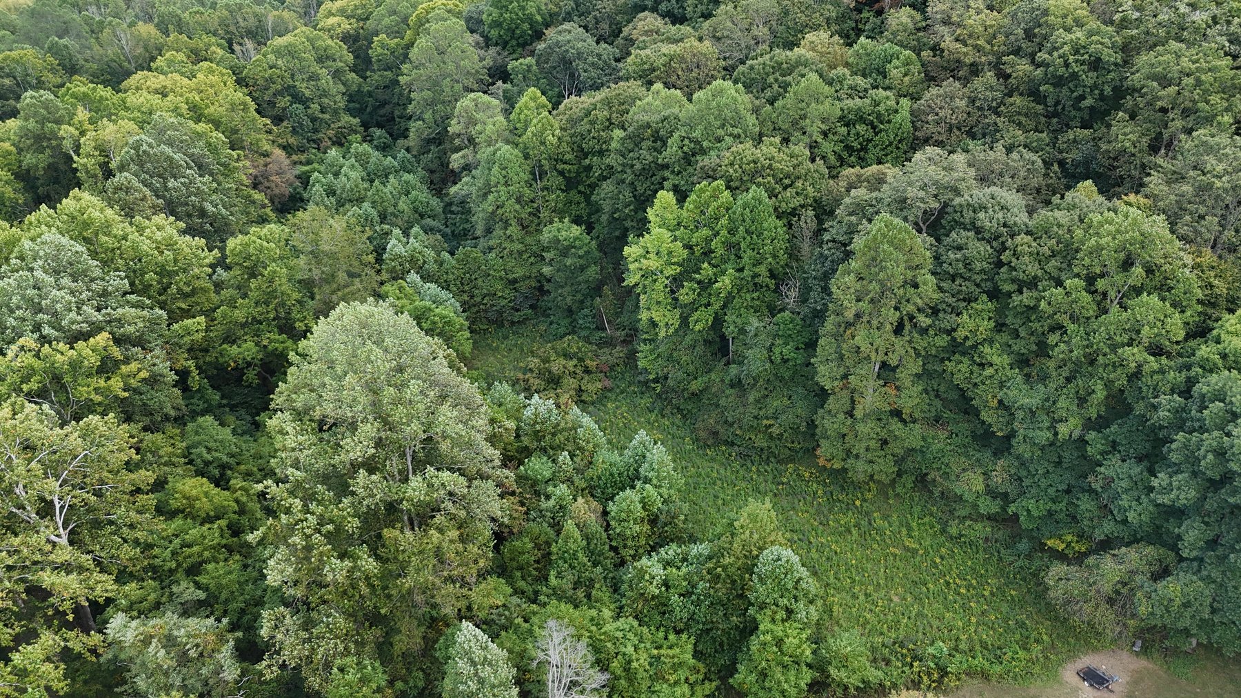 Image for Real Estate Public Auction