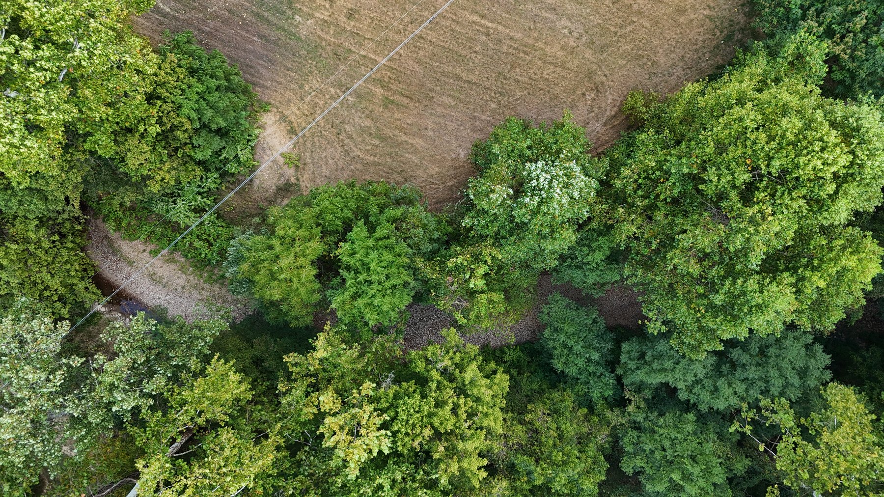 Image for Real Estate Public Auction