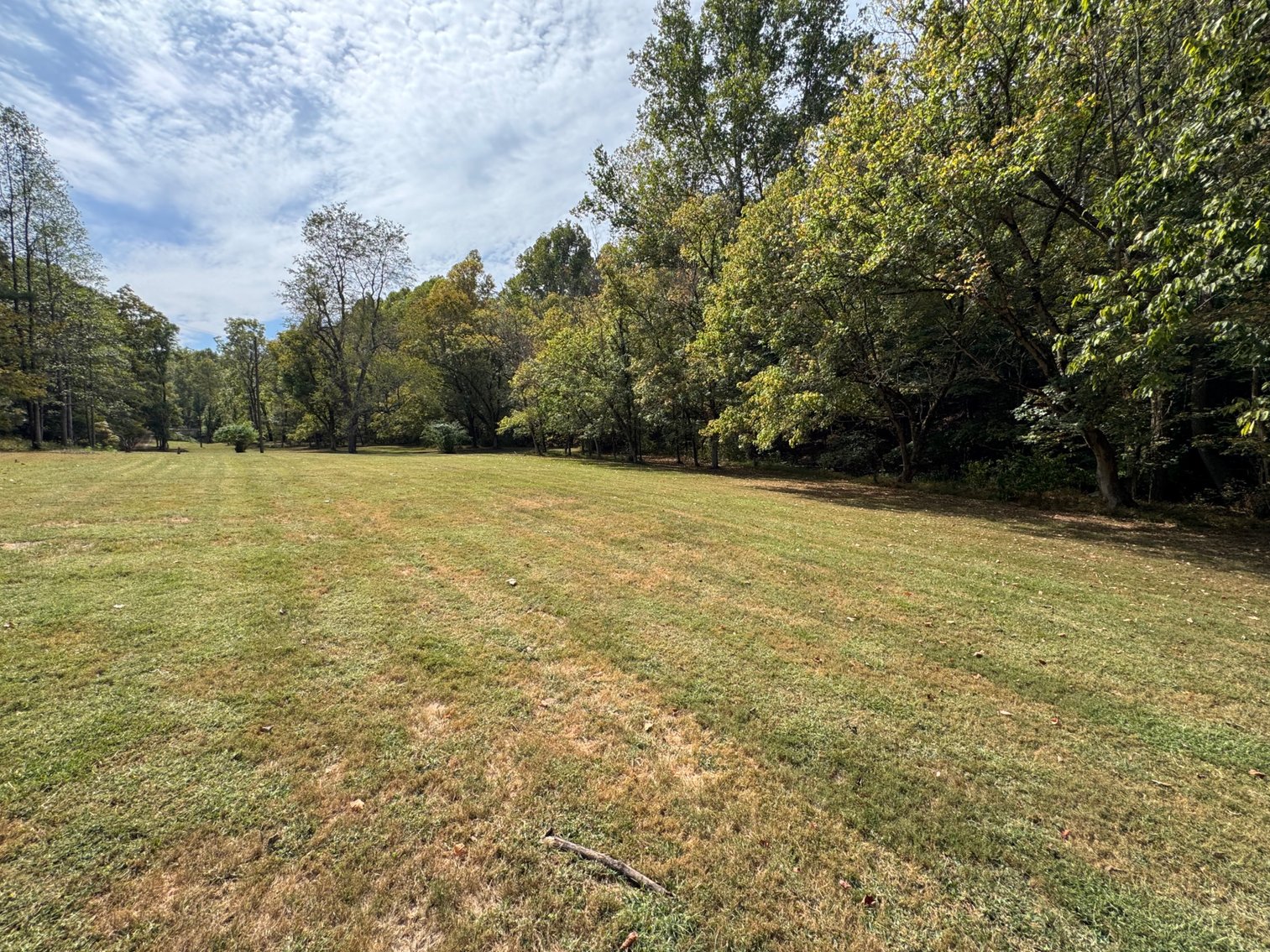 Image for Live Onsite Real Estate Auction with Online Bidding