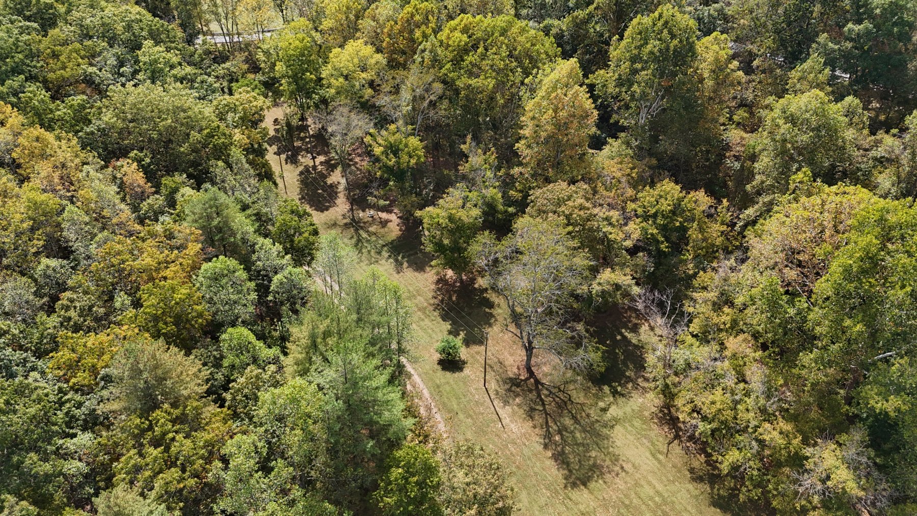 Image for Live Onsite Real Estate Auction with Online Bidding