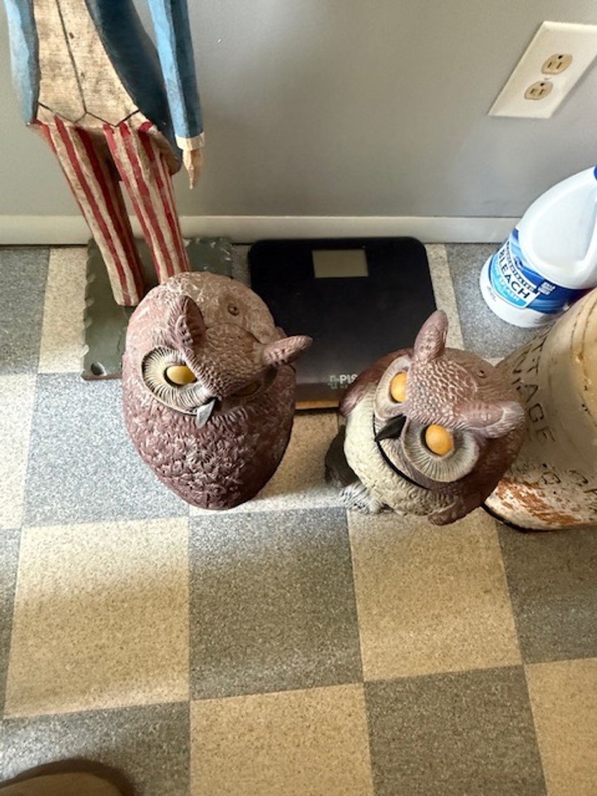 Image for Absolute Public Auction