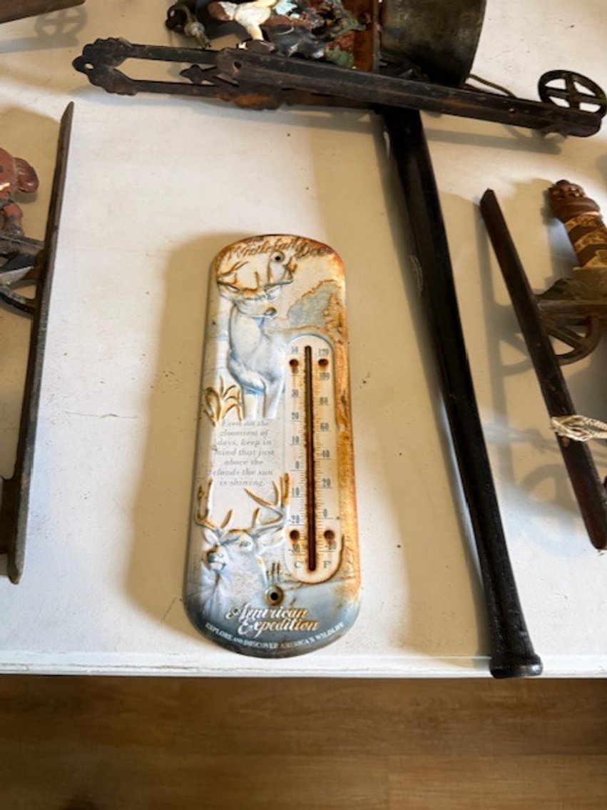 Image for Absolute Public Auction