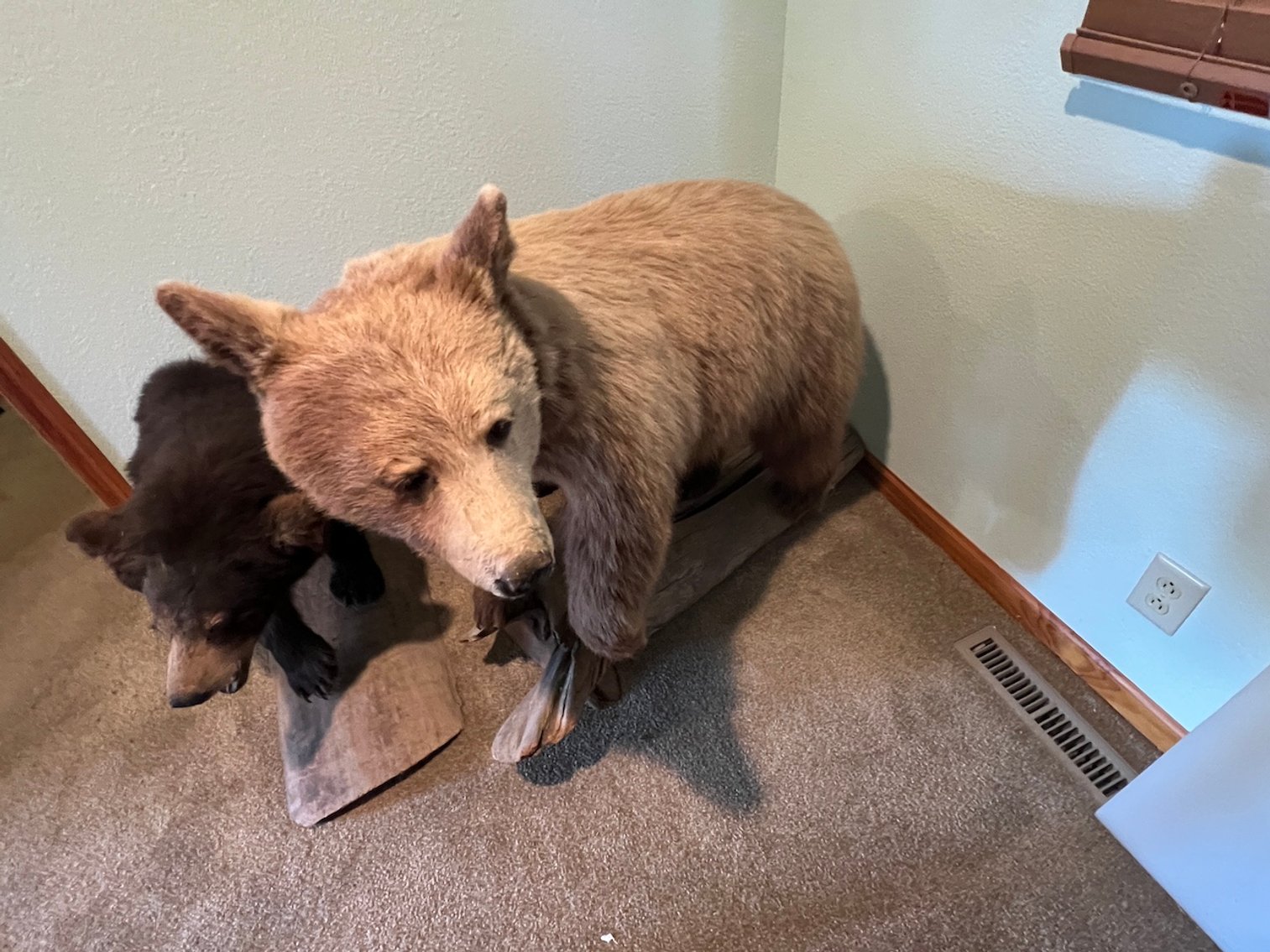 Image for Rhinelander/Gleason, Wi ATVs, Taxidermy, Tools, Car, sporting Goods, Guns, Home Contents & More!